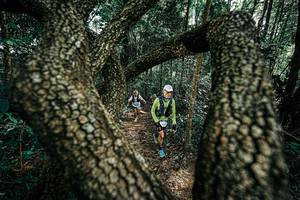 BIB: 
                            <button type="button" onclick="openModal(25392498)" class="btn btn-primary btn-sm float-right btn-popup" data-toggle="modal" data-target=".modal-high-quality">
                        <i class="fas fa-shopping-cart"></i> Add to Cart
                    </button>
                                            <button type="button" onclick="isThisMe(25392498, true)" class="btn btn-success btn-sm float-right btn-popup btn-isme hidden" data-toggle="tooltip" data-placement="bottom" title="นี่คือรูปของคุณใช่ไหม คลิกที่นี่เพื่อเอาเข้าอัลบั้ม">
                        <i class="fas fa-plus"></i> Add to album
                    </button>
                    <button type="button" onclick="isThisMe(25392498, false)" class="btn btn-warning btn-sm float-right btn-popup btn-isnotme hidden">
                        <i class="fas fa-ban"></i> Remove from album
                    </button>